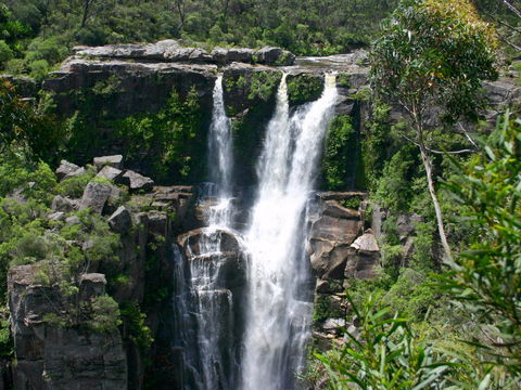 Carrington Falls - Tourism Guide 0