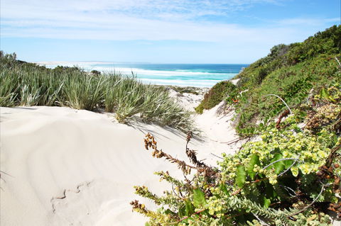 Coffin Bay National Park - Tourism Guide 1