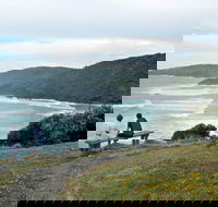 Connors Walking Track - Travel Agents