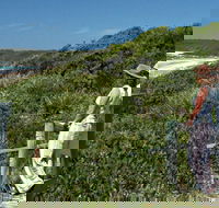 Conjola Beach Picnic Area - Tourism Guide
