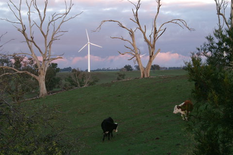 Crookwell Wind Farm - Travel Agents 1