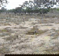 Culgoa Connellys Track - Cruises Travel
