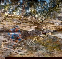 Cycle Mogo State Forest - Tourism Guide