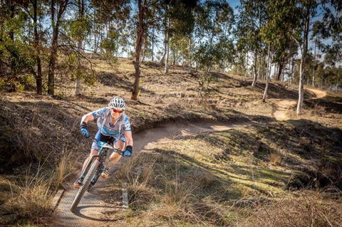 Cycle Mogo State Forest - Tourism Guide 0
