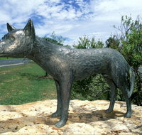 Dingo Statue - Tourism Guide