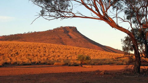 Dutchman Stern Conservation Park Trail - Tourism Guide 0