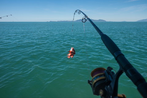 Fishing At Magnetic Island - Travel Agents 1