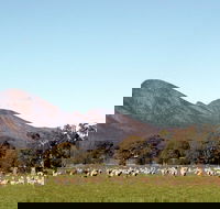 Grampians - Travel Agents