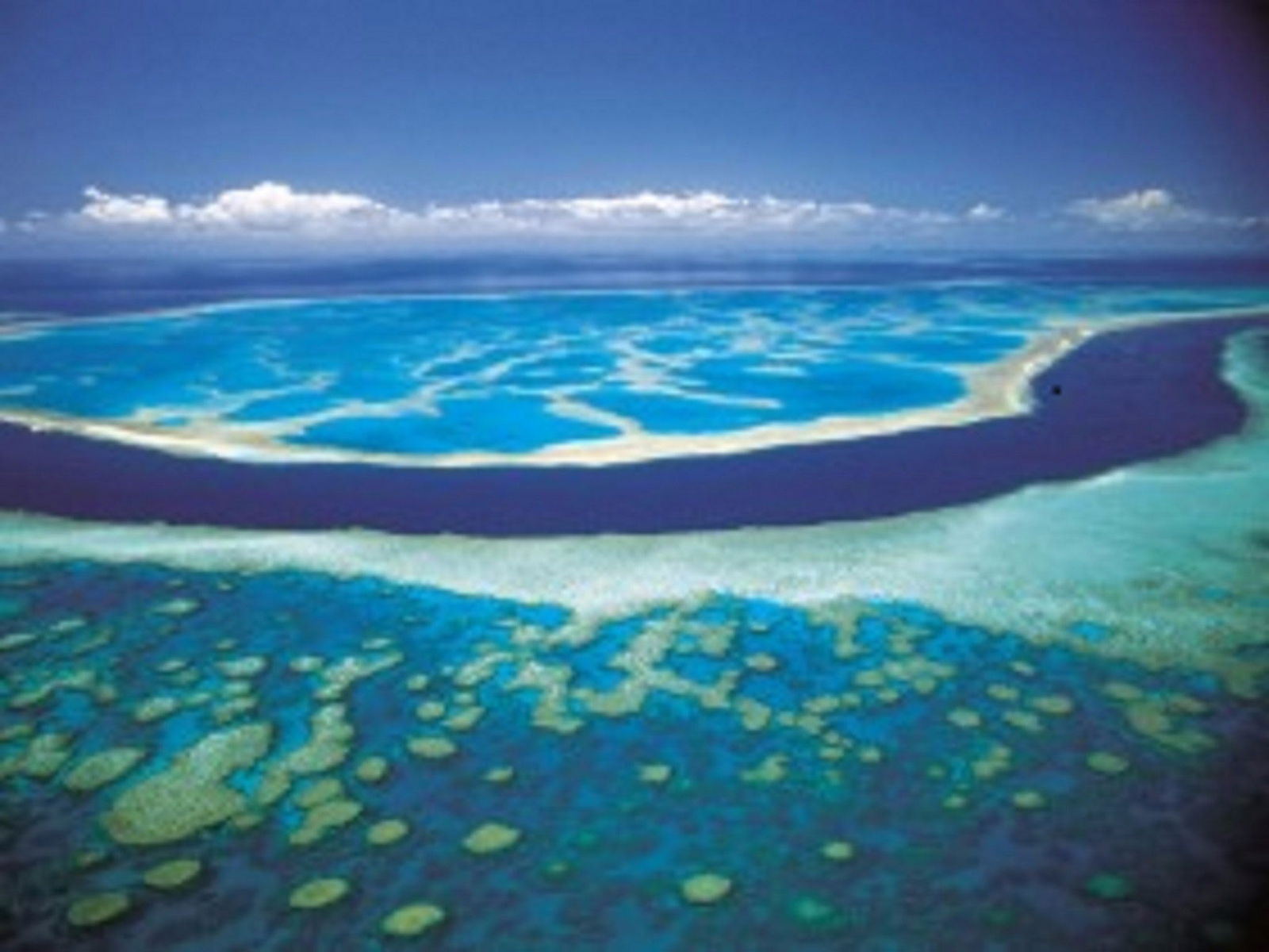  Tourism Guide