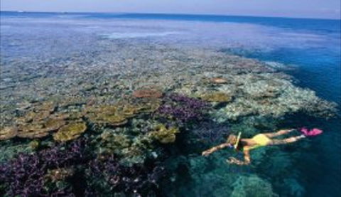 Hardy Reef - Tourism Guide 1
