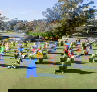 Hello Koalas Sculpture Trail - Tourism Guide