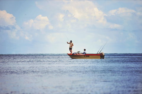 How To Holiday On The Hibiscus Coast With Your Family - Cruises Travel 1