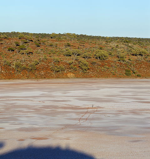 Inside Australia - Antony Gormley Sculptures - Tourism Guide 0