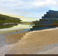 Mangrove Walk - Tourism Guide