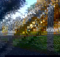 Mansfield Botanic Park - Tourism Guide