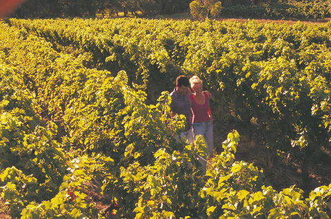 Margaret River Certified Organic And Biodynamic Wine Trail - Tourism Guide 2