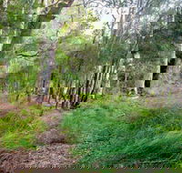Meroo Lake walking track - Tourism Guide
