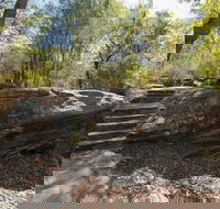 Mooney Mooney nature walk - Tourism Guide