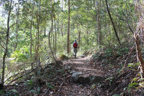 Morelia Walking Track, D'Aguilar National Park - Tourism Guide 1