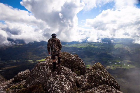 Mount Roland - Travel Agents 2