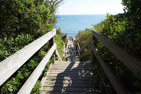 Mount Eliza - Tourism Guide 1