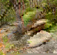 Mount Olive Trail - Tourism Guide