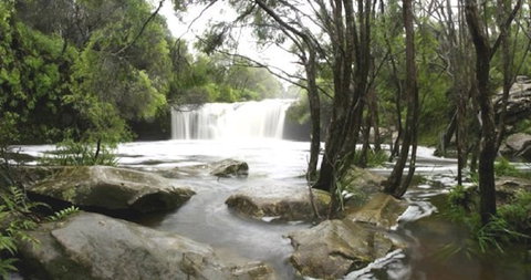 Nellies Glen Carrington Falls - Tourism Guide 0