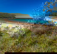 North Durras Beach - Tourism Guide