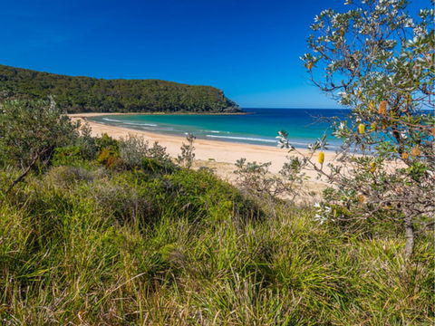 North Durras Beach - Tourism Guide 0