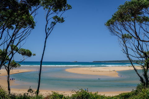North Durras Beach - Tourism Guide 1