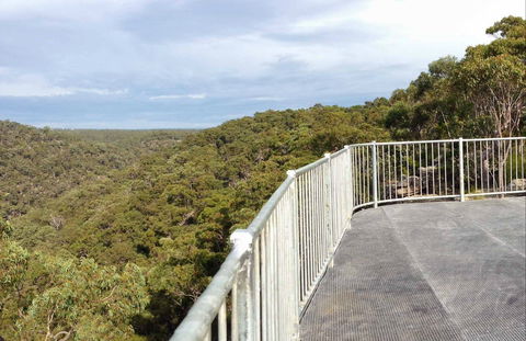 O'Hares Creek Lookout - Travel Agents 0