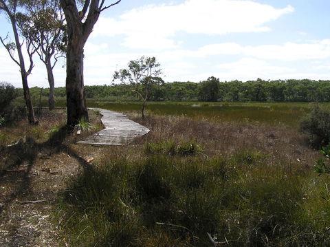 Penola Conservation Park - Tourism Guide 0