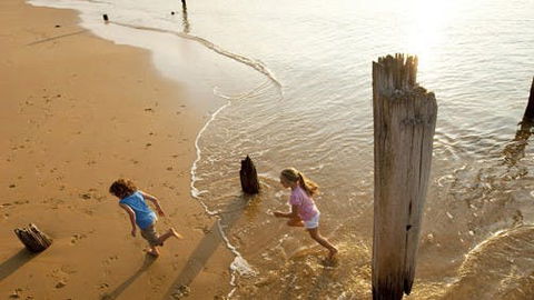 Phillip Island - Travel Agents 0