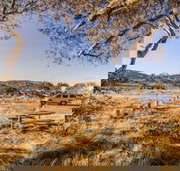 Rennix walking track - Travel Agents