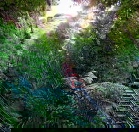 Scenic World Blue Mountains - Tourism Guide