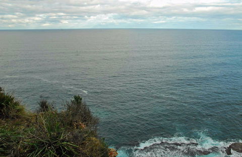 Snapper Point Lookout - Tourism Guide 0
