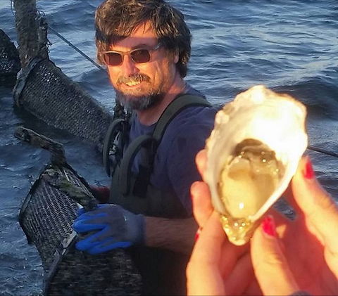 Southern Yorke Oysters - Tourism Guide 0