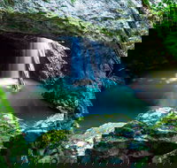 Springbrook - Tourism Guide