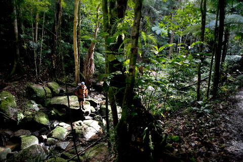 Strickland State Forest - Tourism Guide 0