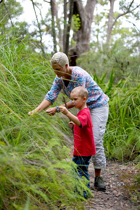 Strickland State Forest - Tourism Guide 2
