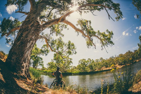 Sturt Gorge Recreation Park - Tourism Guide 0