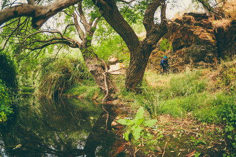 Sturt Gorge Recreation Park - Tourism Guide 1