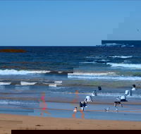 Surf Beach Batemans Bay - Tourism Guide