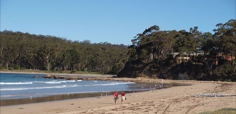 Surf Beach Batemans Bay - Tourism Guide 1
