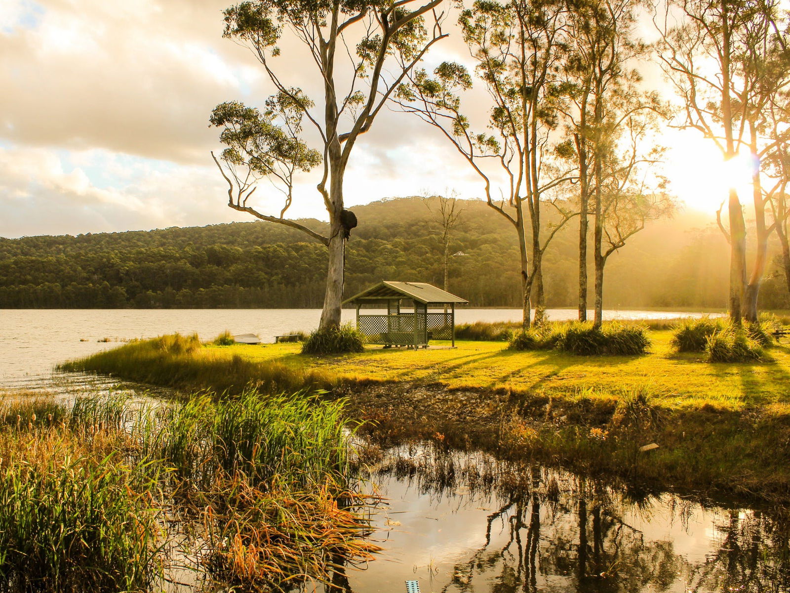 Tarbuck Bay NSW Tourism Guide