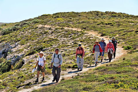The Sole Walk At Hillocks Drive - Tourism Guide 0