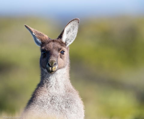 The Sole Walk At Hillocks Drive - Tourism Guide 1