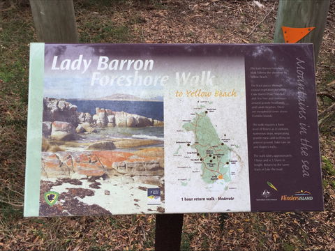 The Lady Barron Foreshore Walk - Tourism Guide 0