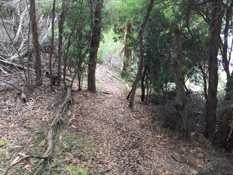 The Lady Barron Foreshore Walk - Tourism Guide 1