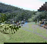Timbertops - Horse Riding - Tourism Guide